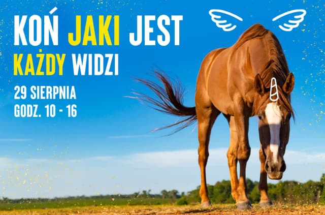 Koń jaki jest każdy widzi – odkryj jego ukrytą symbolikę w kulturze Koń jaki jest każdy widzi – odkryj jego ukrytą symbolikę w kulturze
