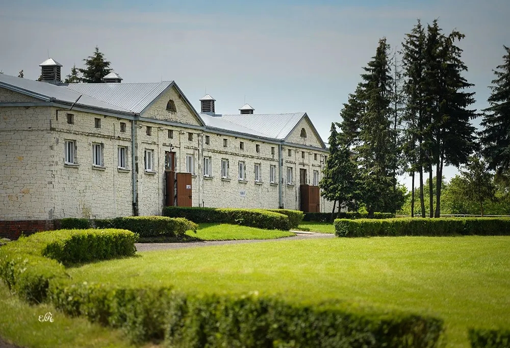 Stadnina koni Białka – wyjątkowe konie arabskie i małopolskie w hodowli Stadnina koni Białka – wyjątkowe konie arabskie i małopolskie w hodowli