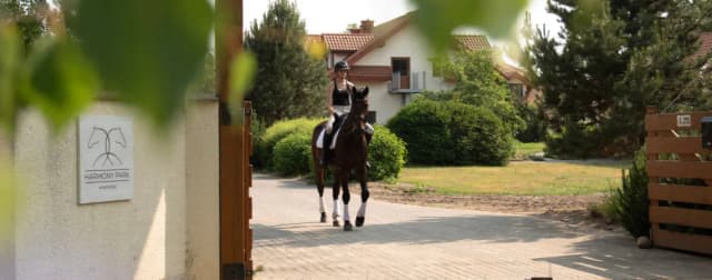 Stajnie koni z noclegiem – komfortowe miejsca na wypoczynek i jazdę Stajnie koni z noclegiem – komfortowe miejsca na wypoczynek i jazdę