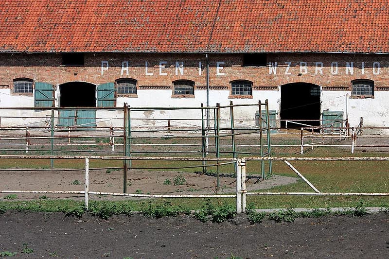 Kadyny stadnina koni - odkryj fascynującą historię i atrakcje Kadyny stadnina koni - odkryj fascynującą historię i atrakcje